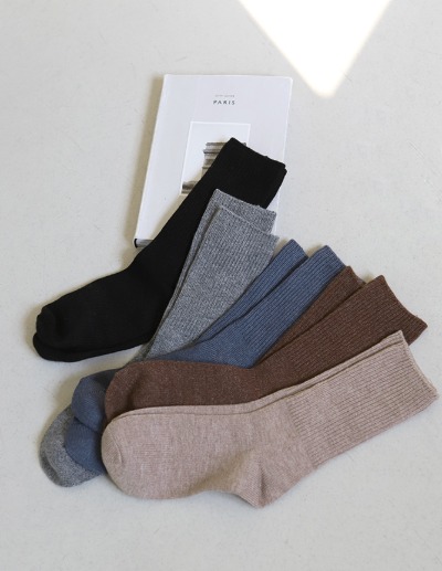 premier socks (2TYPE)