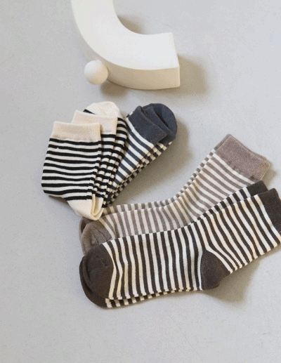 daily socks (2TYPE)
